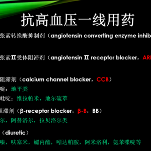 Hypertension Medication PPT for Pharmacy Staff & Students (Chinese)   高血压用药PPT（中文）